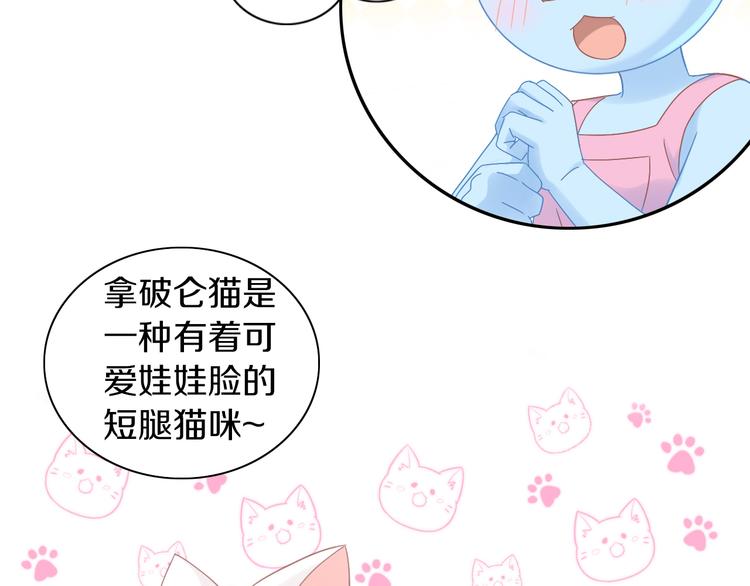 第181回  拿破仑26