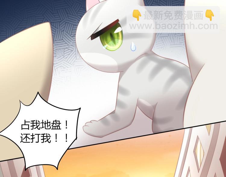 第125话 猫舍C位（一）82