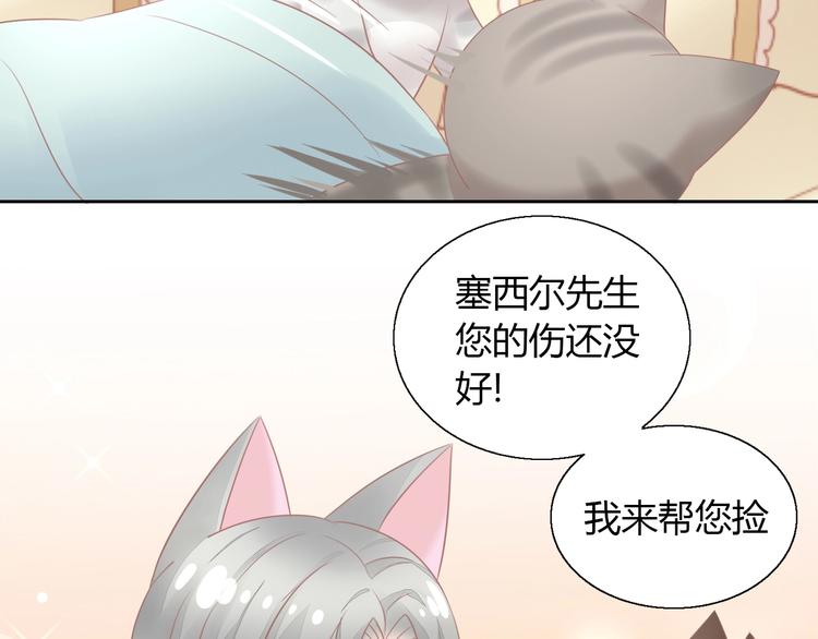 第128话 猫舍C位（四）19