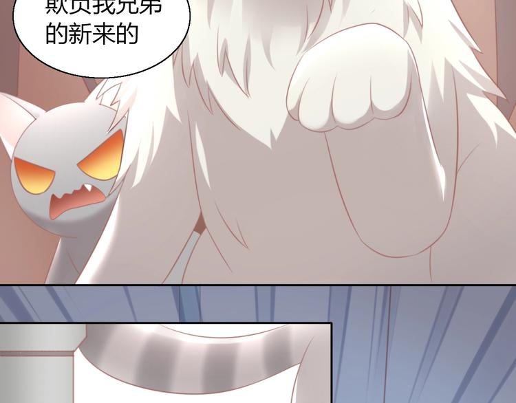 第125话 猫舍C位（一）84