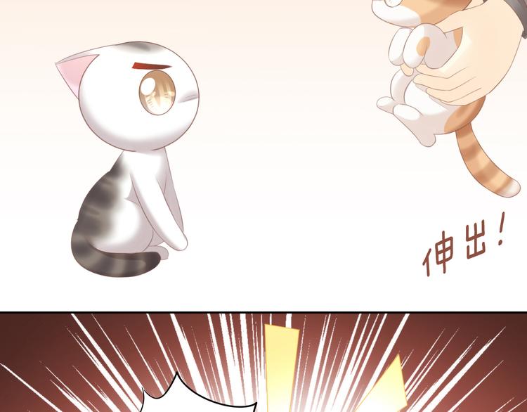 第85话 新伙伴？！52
