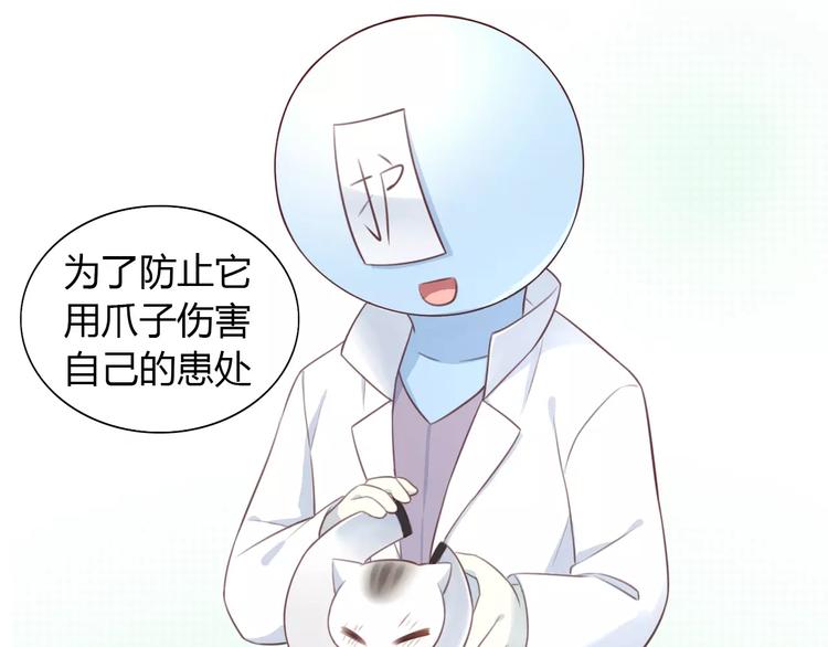 第41话 小可怜竟然是？47