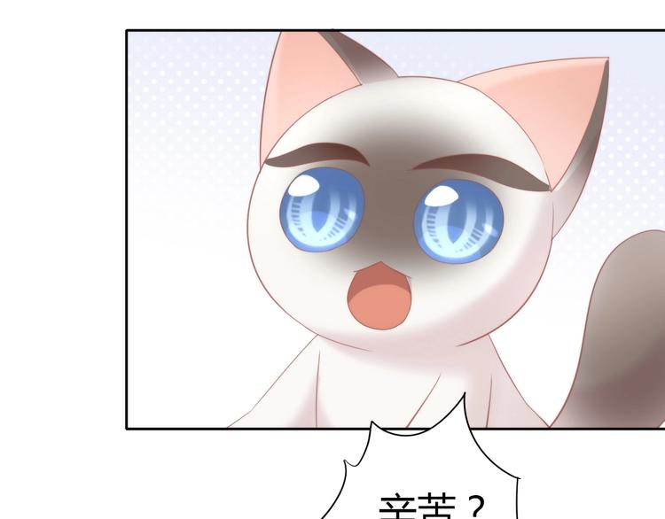 第133话 撸猫技师（一）34