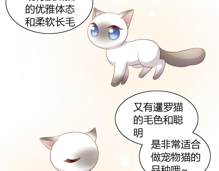 第59话 我们的相遇13