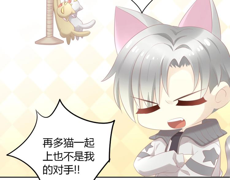 第129话 猫舍C位（五）55