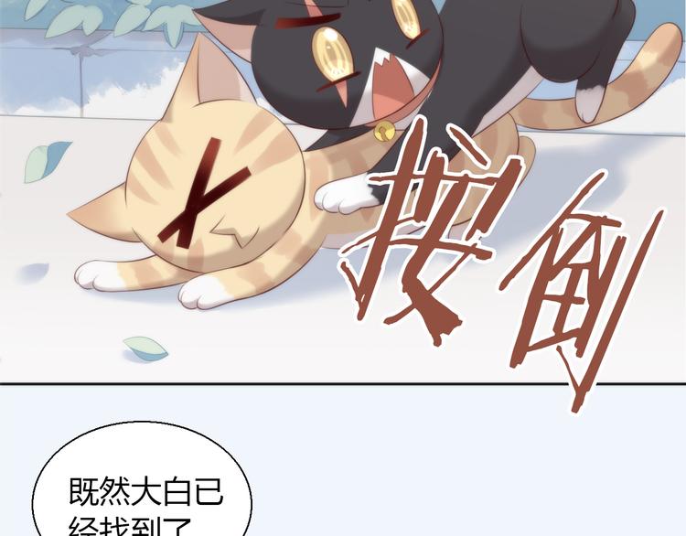 第68话 突发意外12