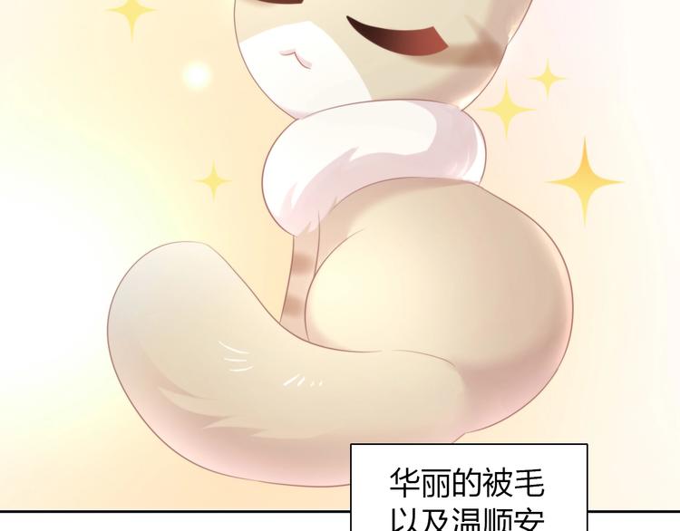 第125话 猫舍C位（一）13