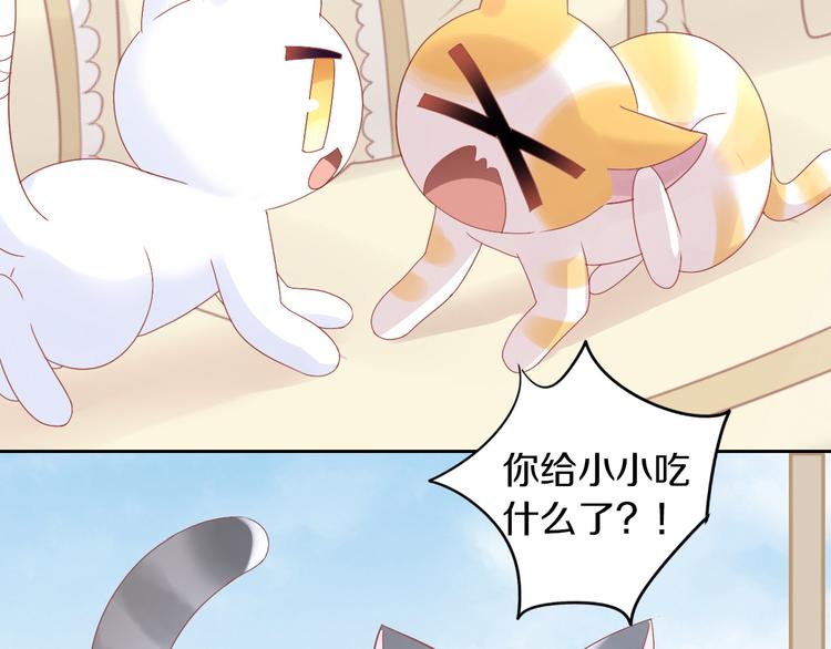 第183话  恼人的耳螨20