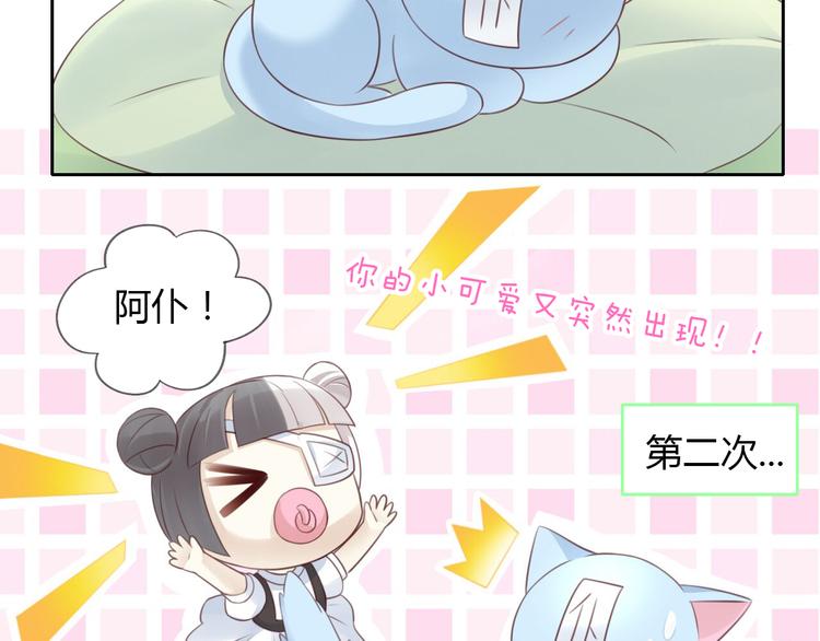 第51话 人猫大互换？41