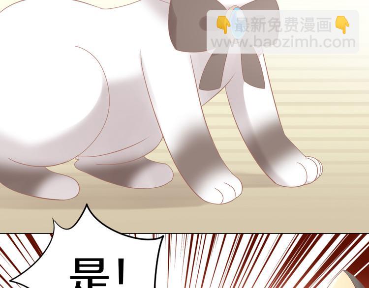 第178话 爆火视频63