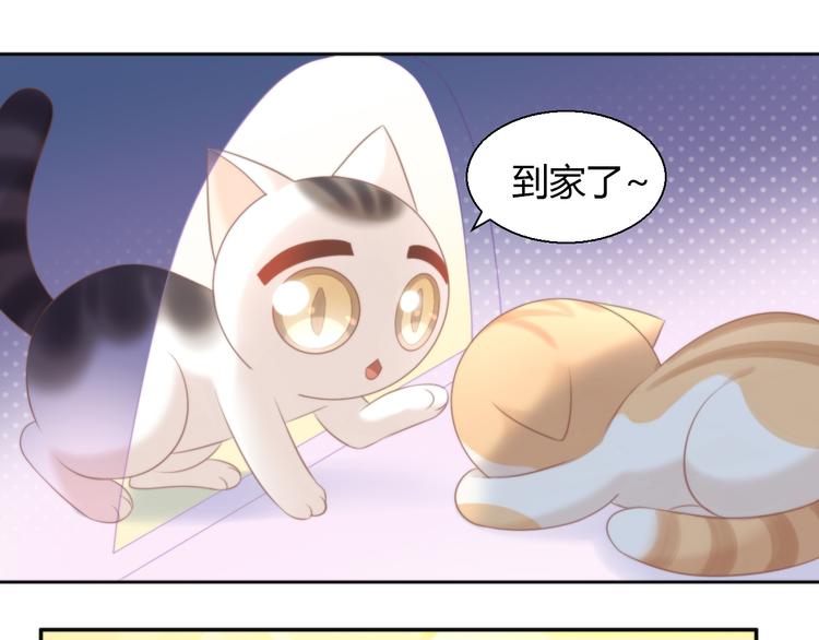 第85话 新伙伴？！26