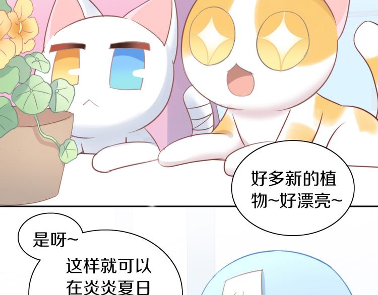 第166话 猫咪花园8
