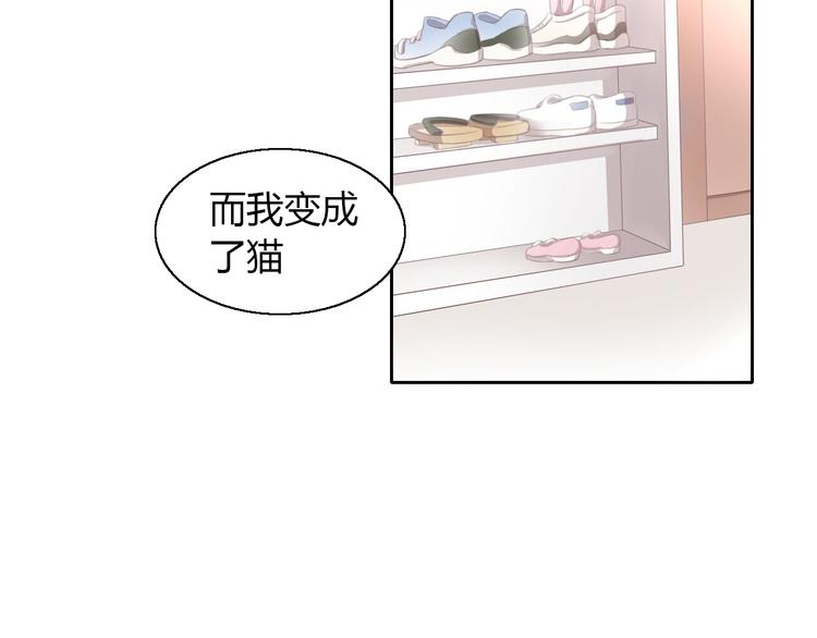 第51话 人猫大互换？9