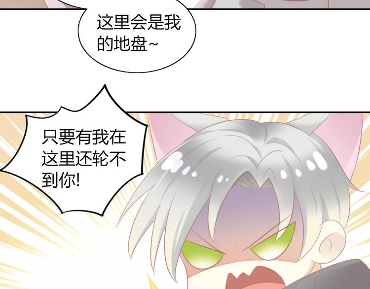 第125话 猫舍C位（一）35