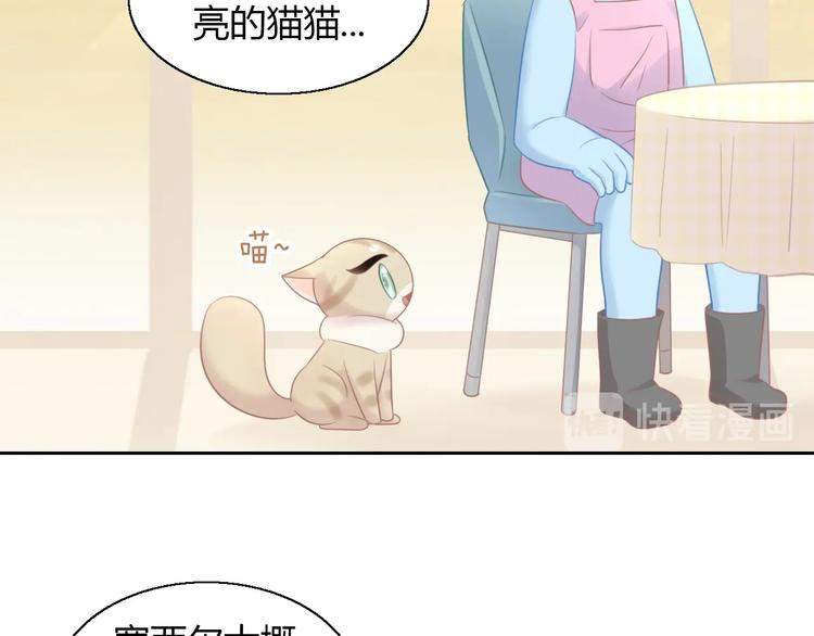 第129话 猫舍C位（五）38