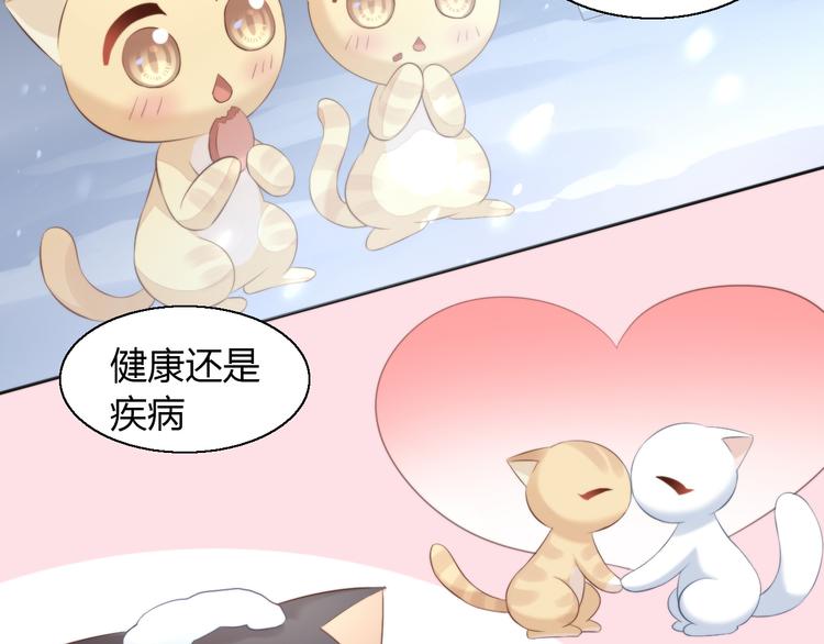 第71话 属于你的幸福44