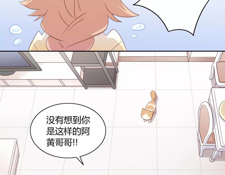 第14话  萌宠失踪34