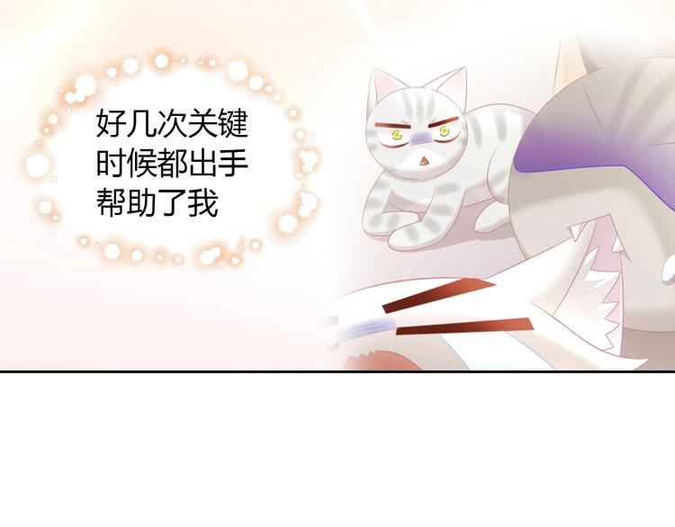 第128话 猫舍C位（四）58