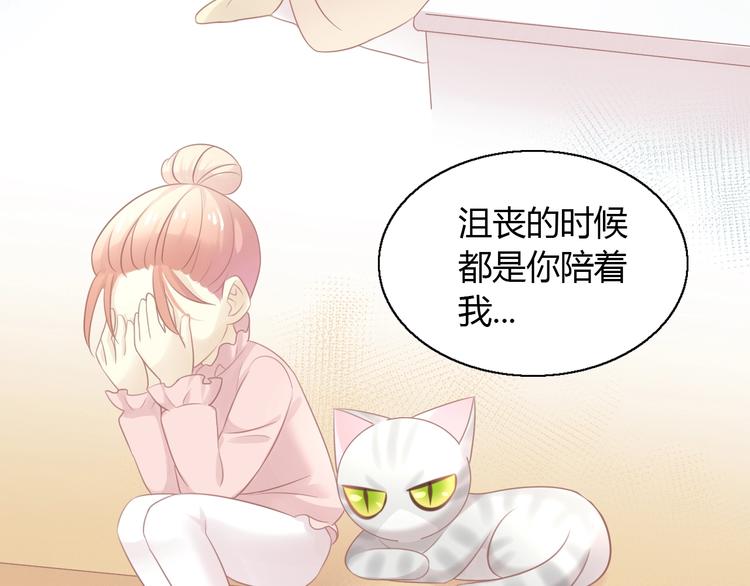 第130话 猫舍C位（六）50