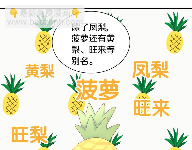 第188话 凤梨？菠萝？19