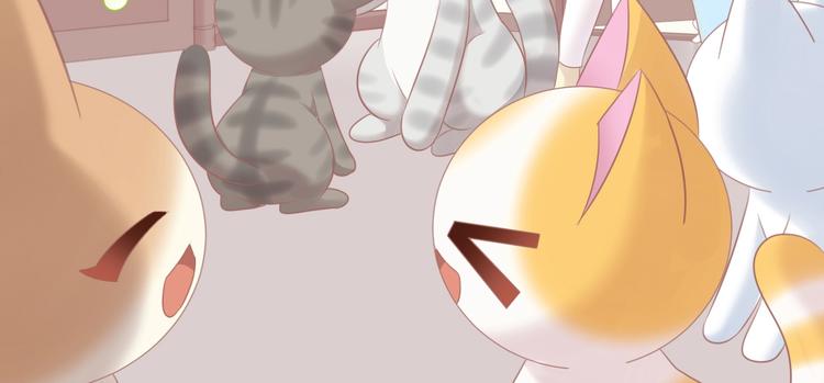 第130话 猫舍C位（六）91