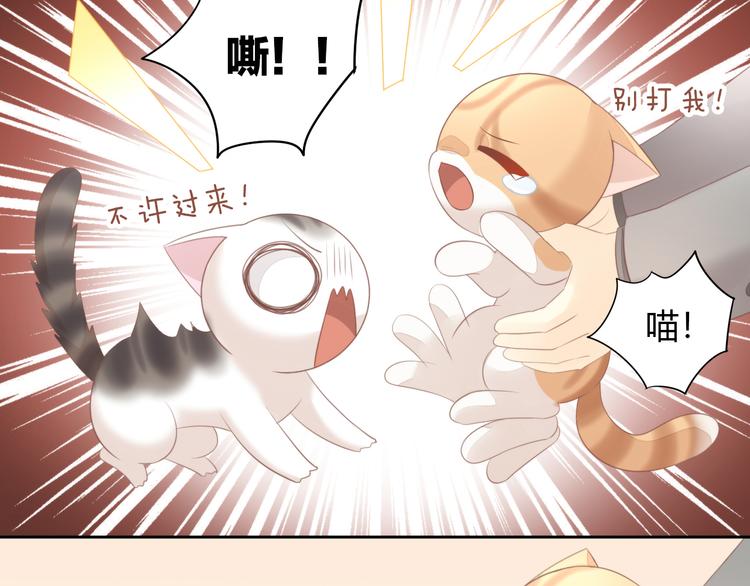 第85话 新伙伴？！53