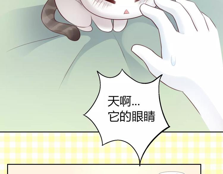 第41话 小可怜竟然是？10