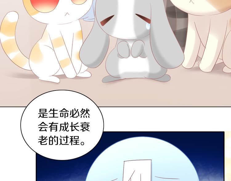 第193话 被抛弃的它46