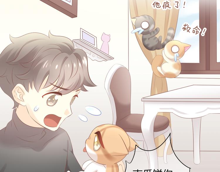 第86话 友好相处！33