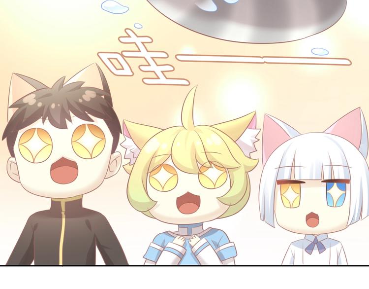 第128话 猫舍C位（四）75