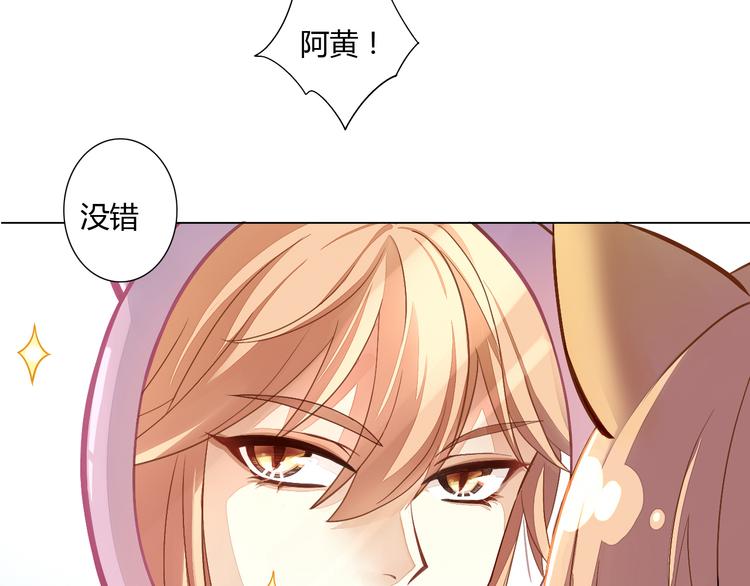 第1话  猫主子驾到！8