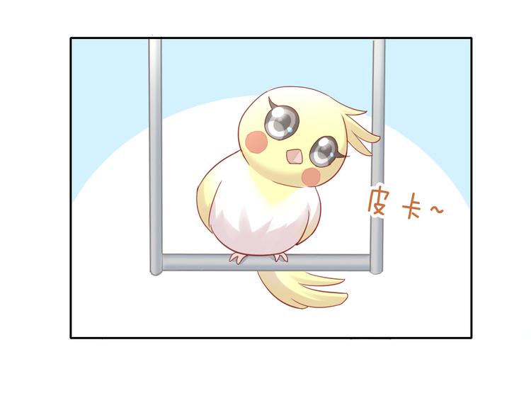 第143话 腮红鹦鹉70