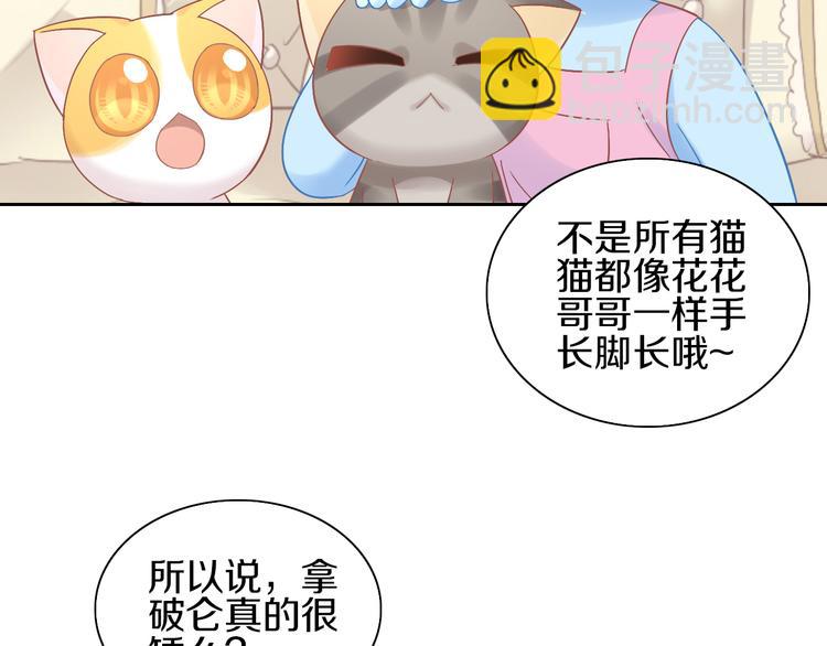第181回  拿破仑31