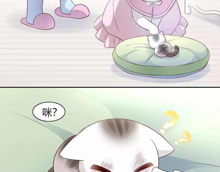 第41话 小可怜竟然是？9