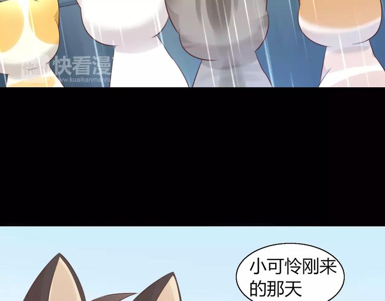 第48话 一定要找到你！47