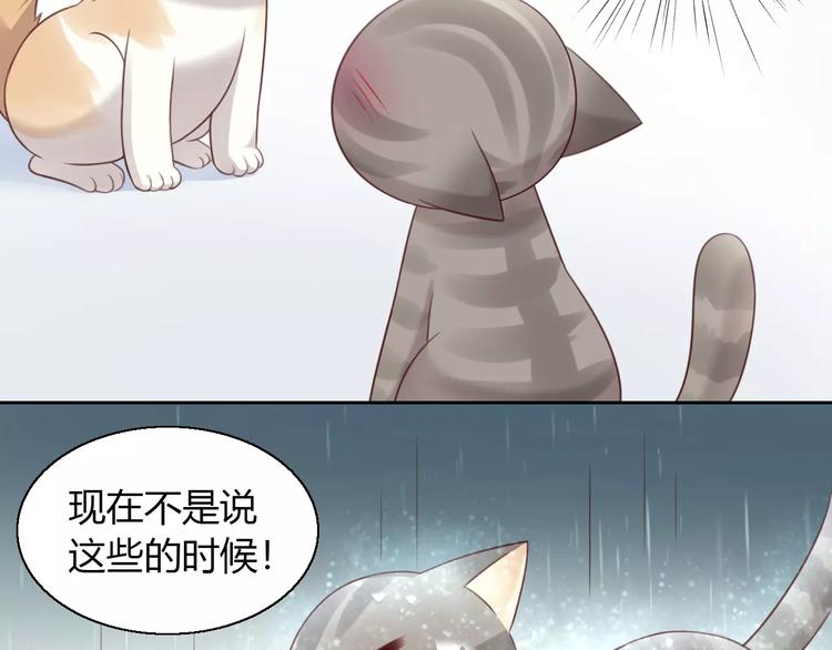 第49话 我们是一家人啊15