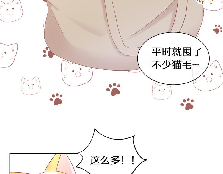 第195话  宠物毛毡35