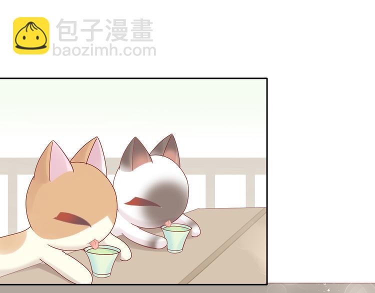 第175话 茶老板的营销学33