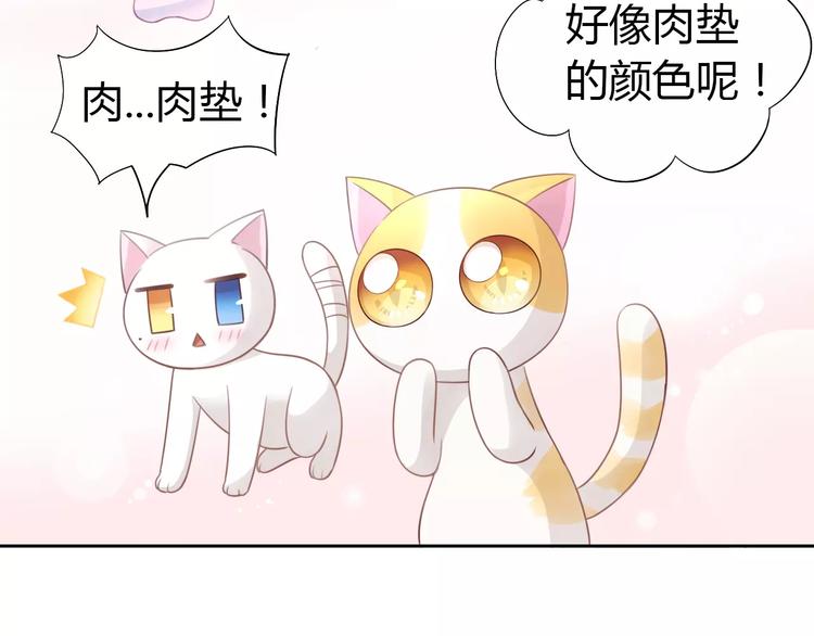 第38话 樱花果冻11