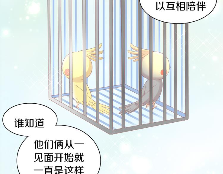 第170话 皮卡和小智20