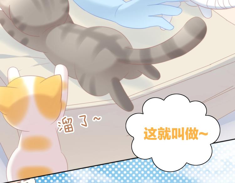 第113话 断舍离76