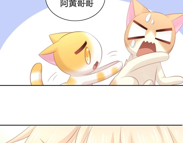 第105话 蚊子战争84