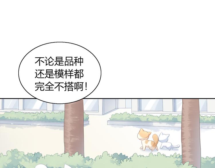 第71话 属于你的幸福65