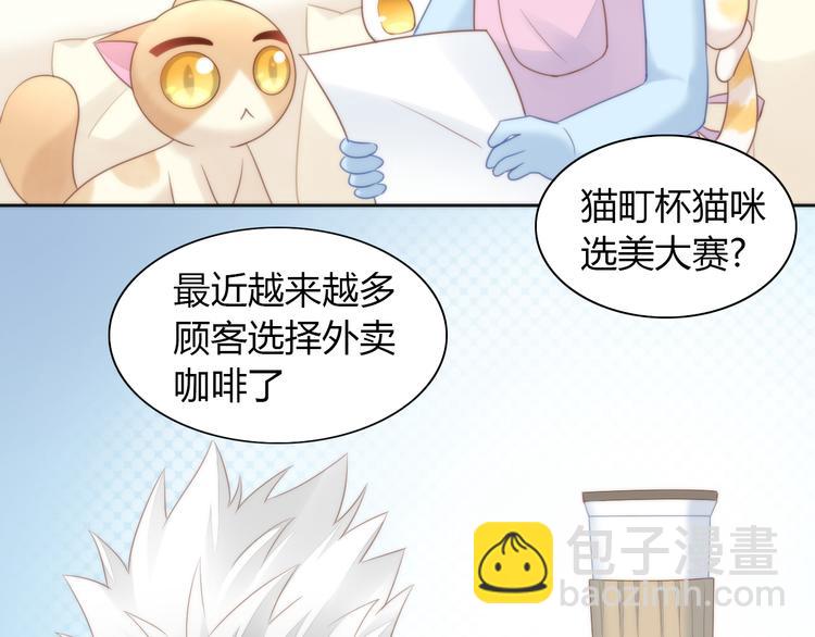第76话 猫咪选美大赛30