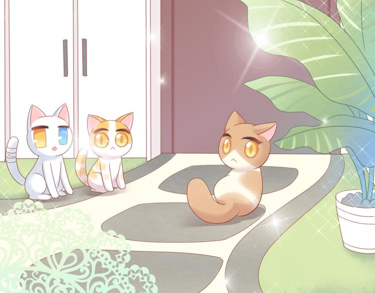 第166话 猫咪花园73