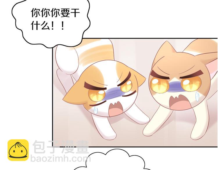 第195话  宠物毛毡24