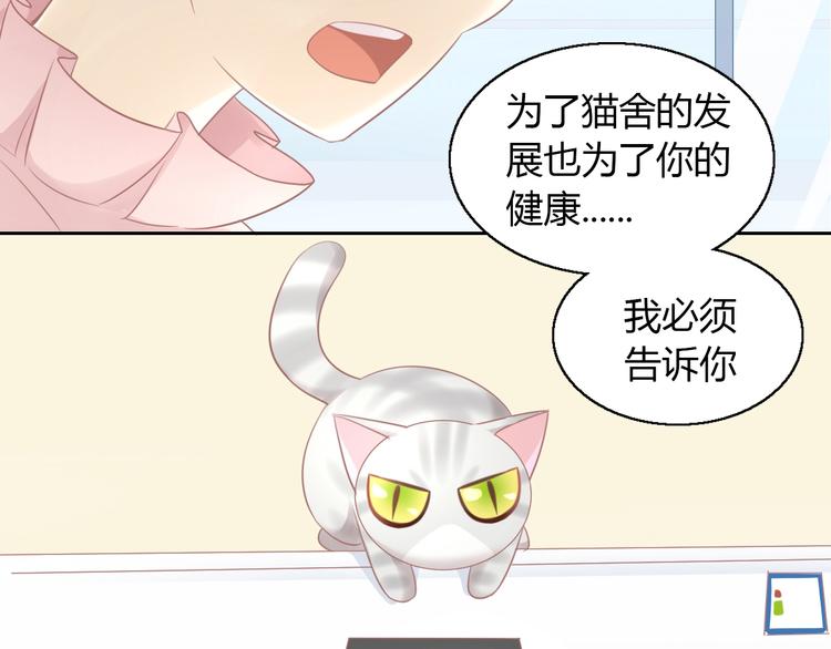 第130话 猫舍C位（六）52