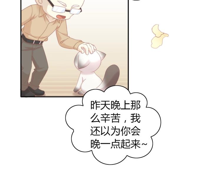 第133话 撸猫技师（一）33