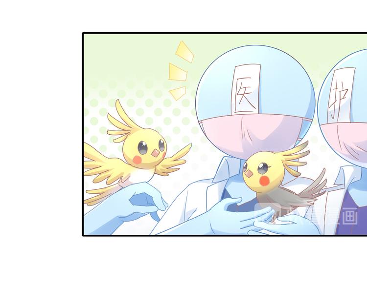 第170话 皮卡和小智50
