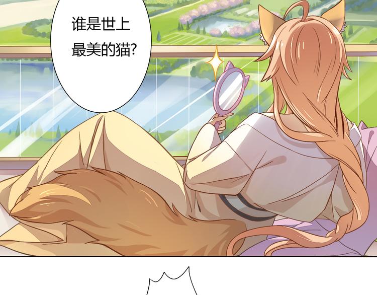 第1话  猫主子驾到！7